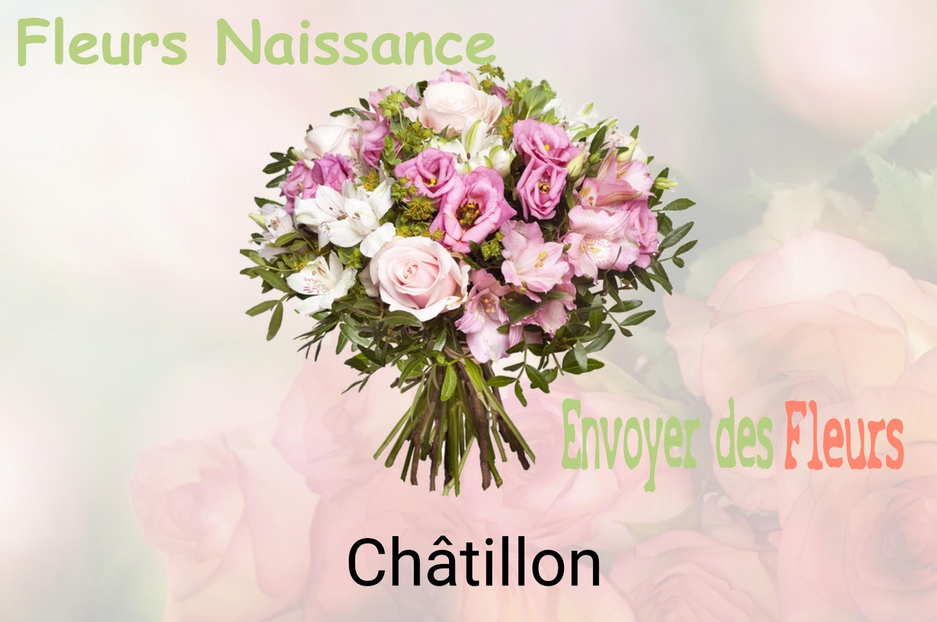 Bouquet de fleurs de naissance livré à Châtillon